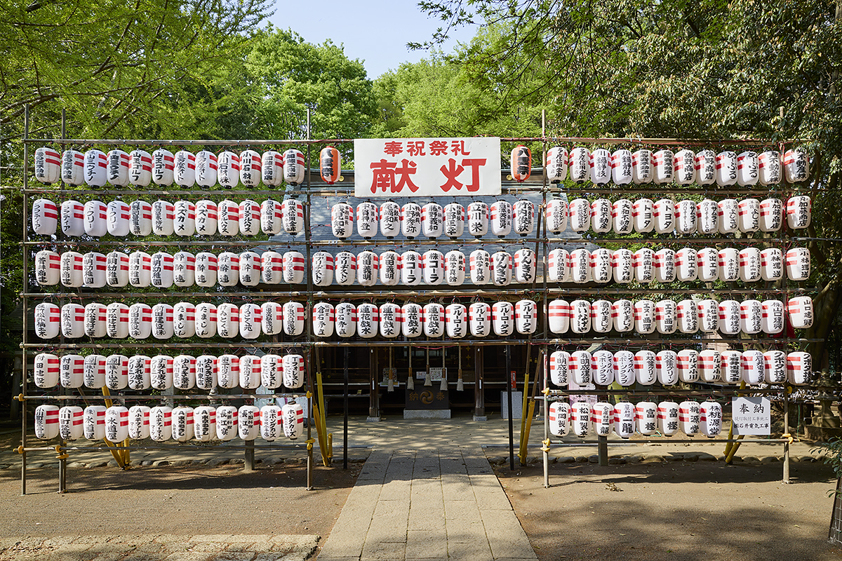 奉納提灯価格